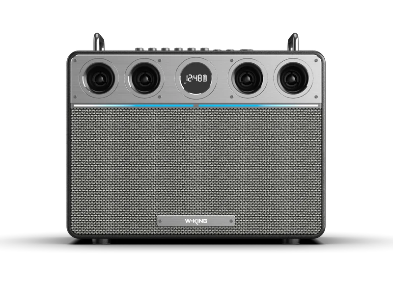 W-KING T16 Plus 300W RMS Portable Karaoke Speaker