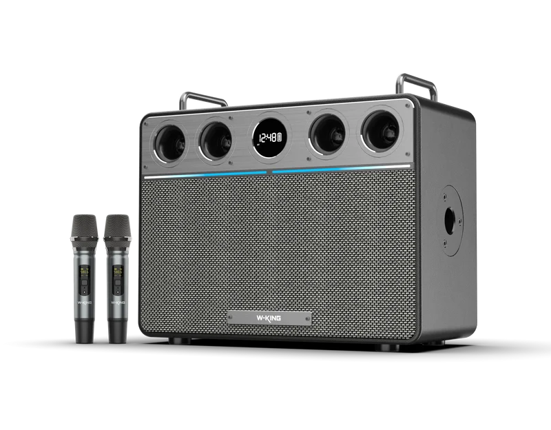 W-KING T16 Plus 300W RMS Portable Karaoke Speaker