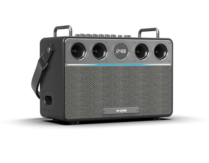 W-KING T16L 160W RMS Portable Karaoke Speaker