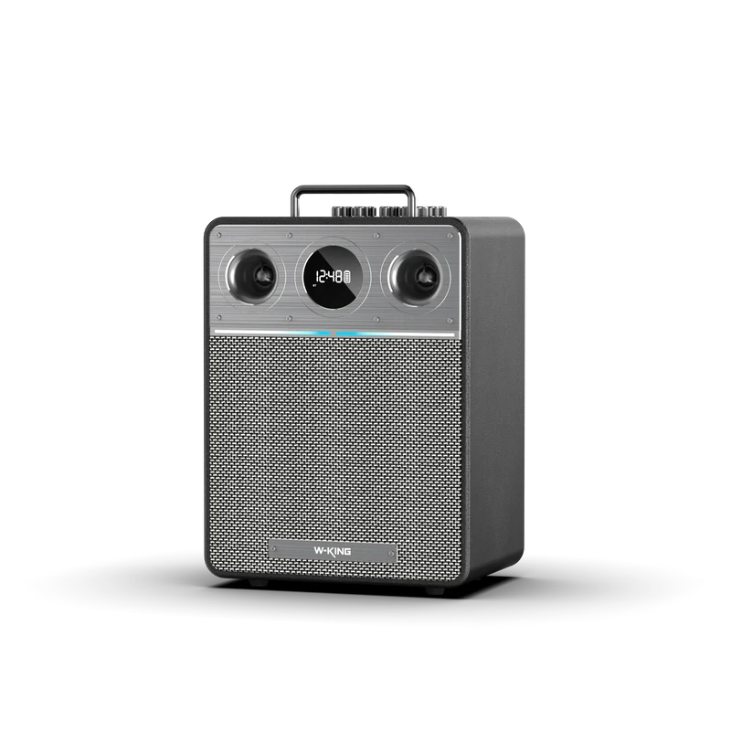 W-KING T6 110W RMS Portable Karaoke Speaker