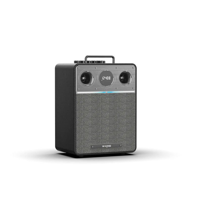 W-KING T6 110W RMS Portable Karaoke Speaker
