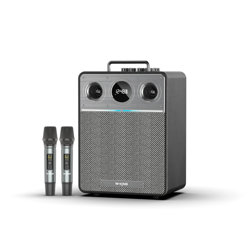 W-KING T6 110W RMS Portable Karaoke Speaker