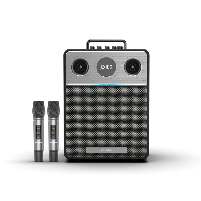 W-KING T6 110W RMS Portable Karaoke Speaker