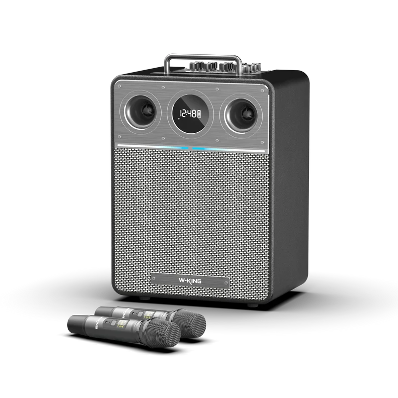 W-KING T6 110W RMS Portable Karaoke Speaker