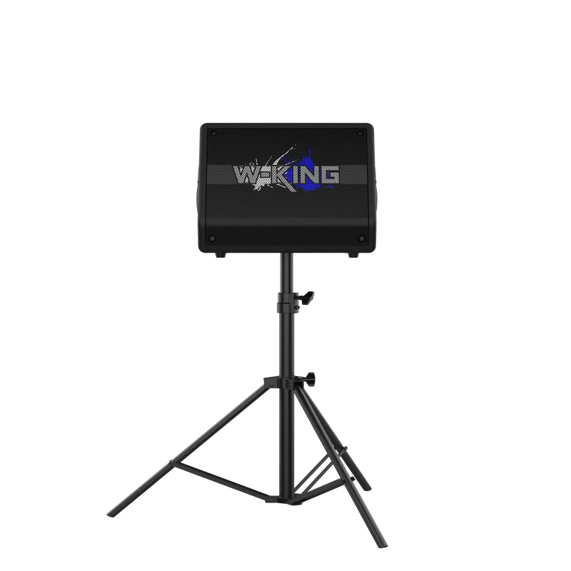 W-KING K40 220W RMS Karaoke Bluetooth Speaker