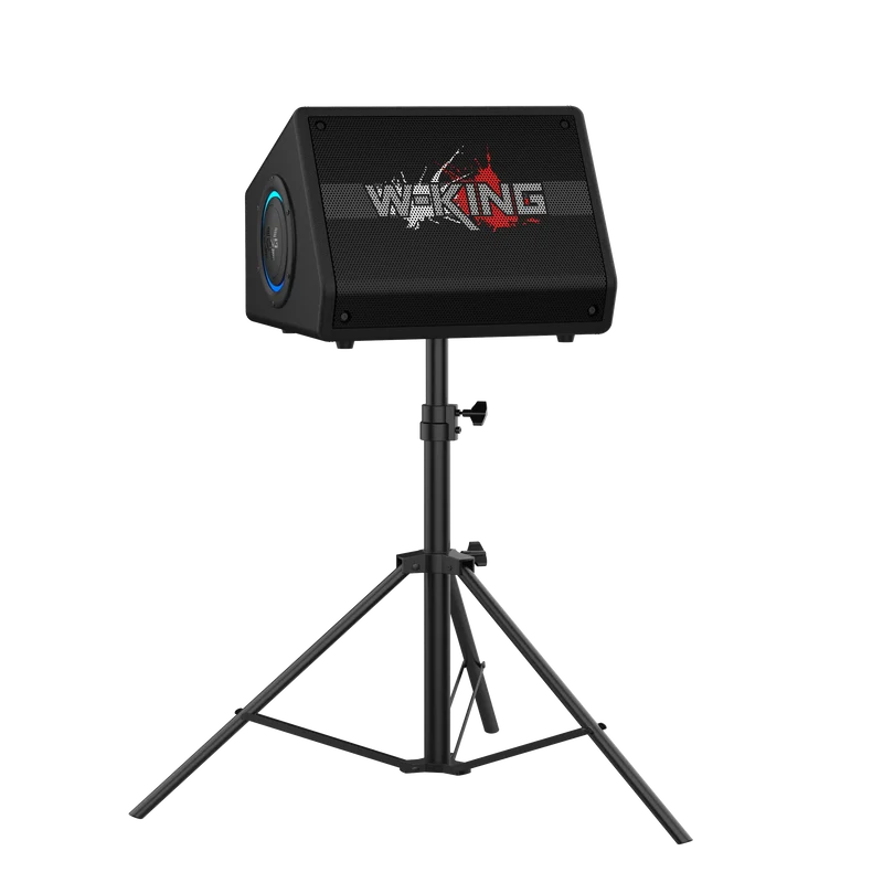 W-KING K40 220W RMS Karaoke Bluetooth Speaker