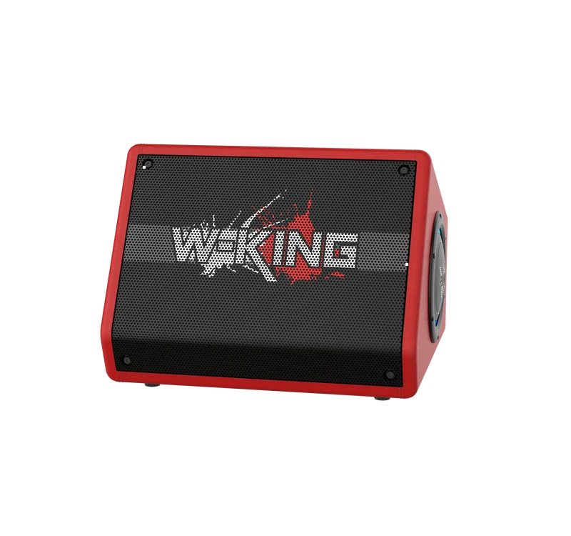 W-KING K40 220W RMS Karaoke Bluetooth Speaker