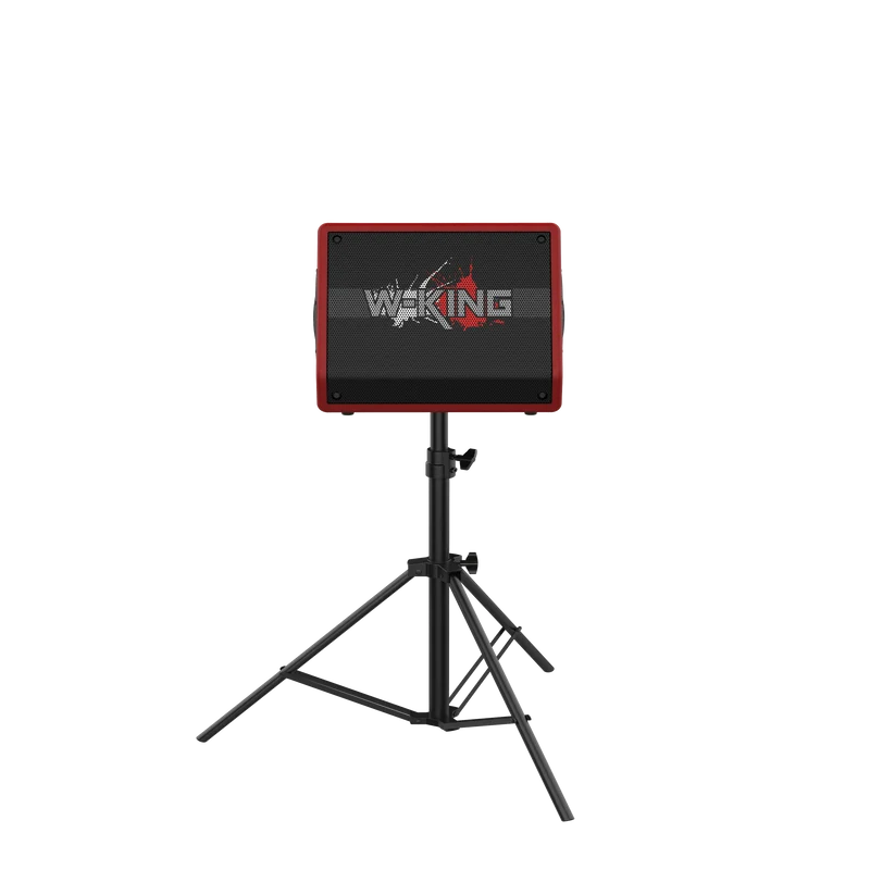 W-KING K40 220W RMS Karaoke Bluetooth Speaker