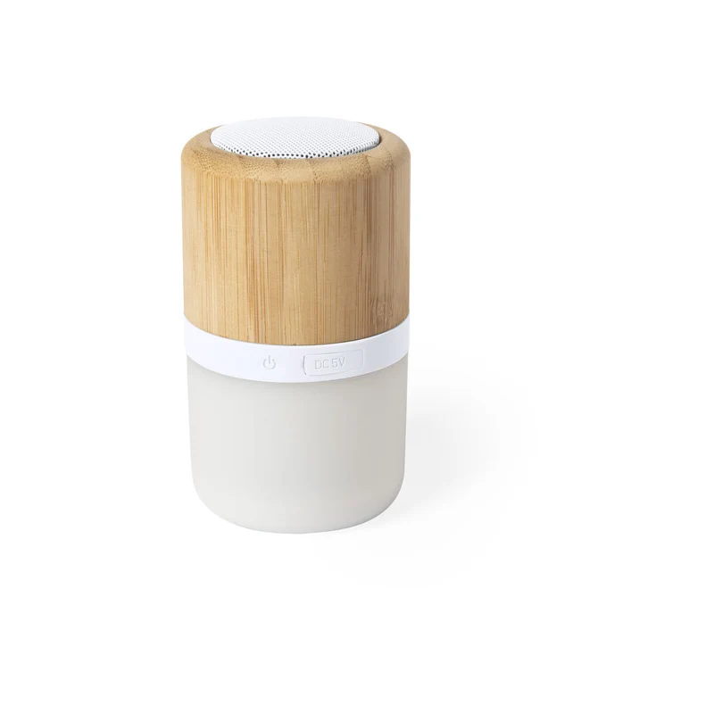 Enceinte bluetooth 5.0 et LED intelligente KEVIL