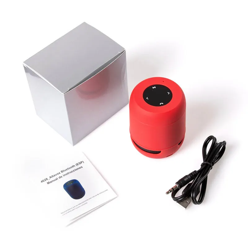 Enceinte bluetooth BRAISS