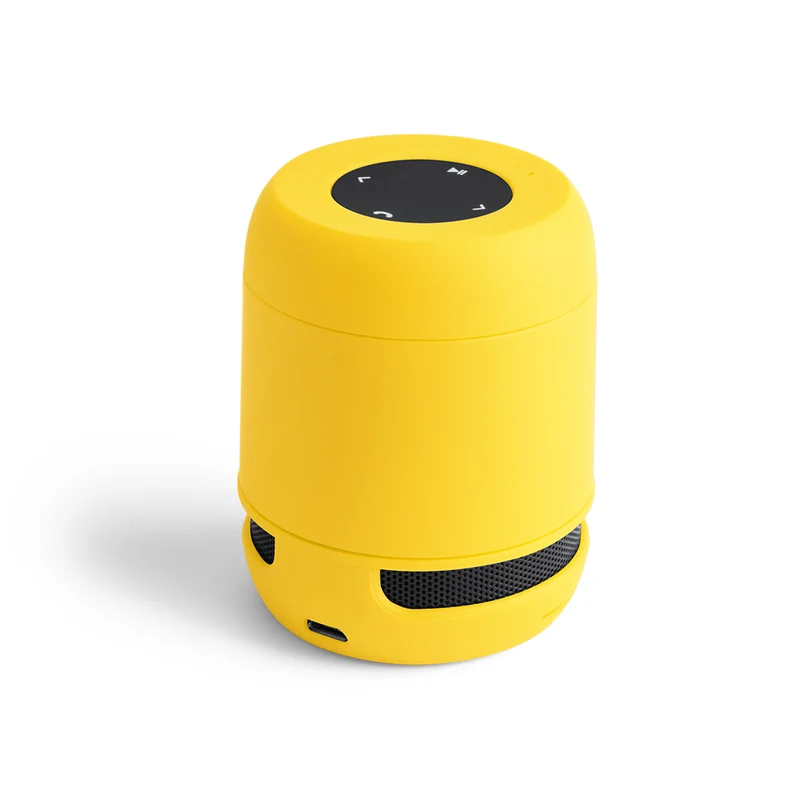 Enceinte bluetooth BRAISS