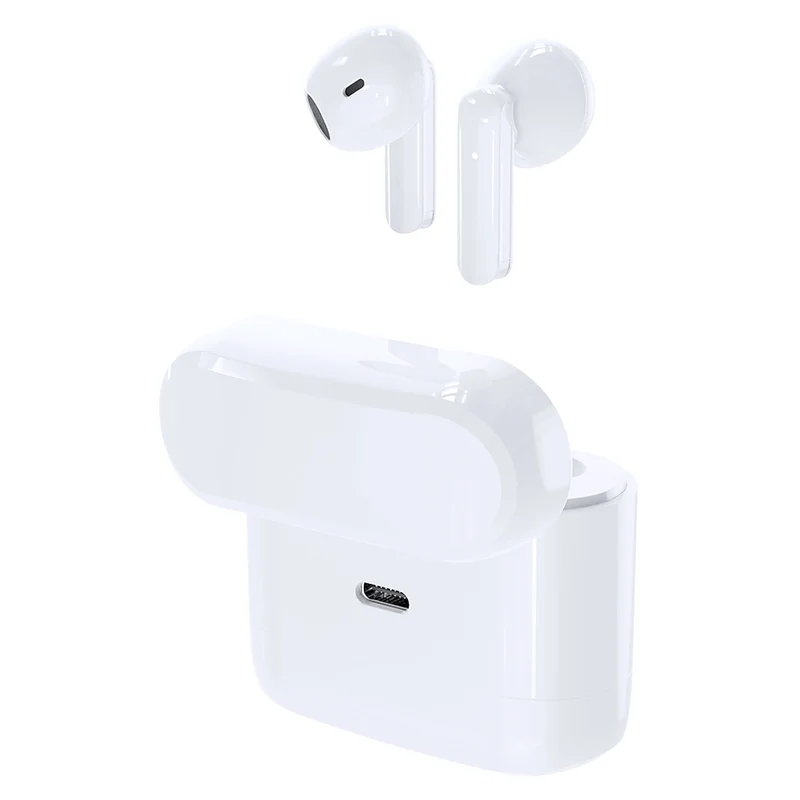 Étui avec 2 paires d'écouteurs intra-auriculaires BAKSEN
