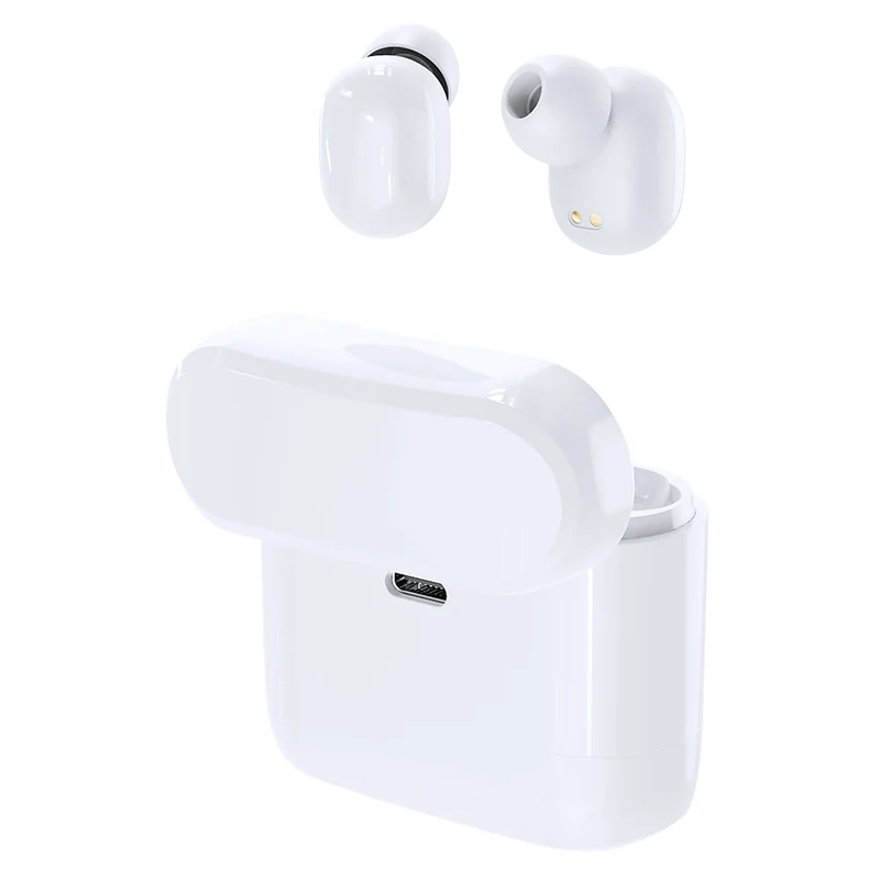 Étui avec 2 paires d'écouteurs intra-auriculaires BAKSEN
