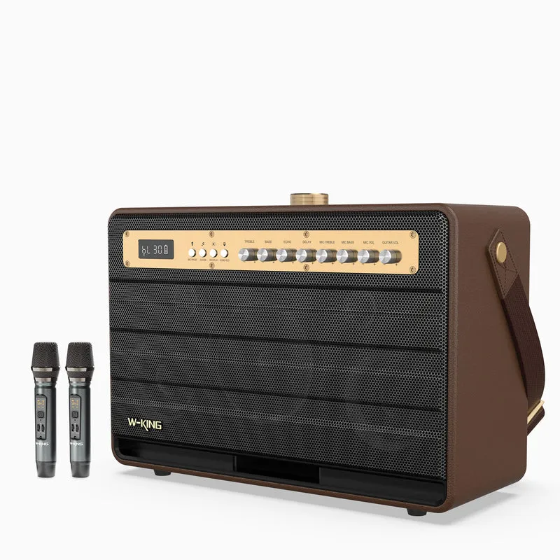 W-KING K6L Portable Karaoke Speaker with Wireless Microphone