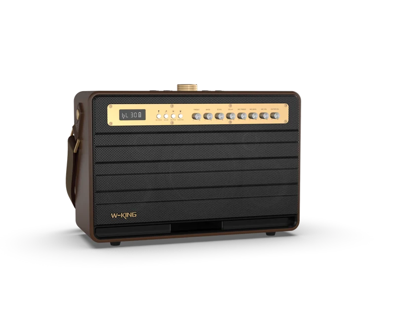 W-KING K6L Portable Karaoke Speaker with Wireless Microphone