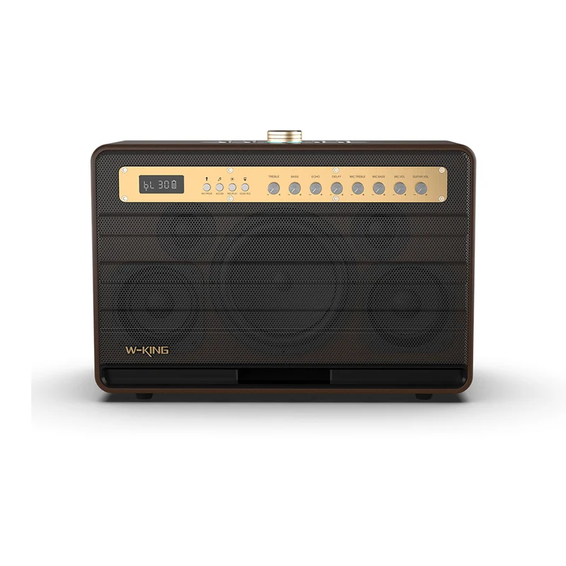 W-KING K6L Portable Karaoke Speaker with Wireless Microphone