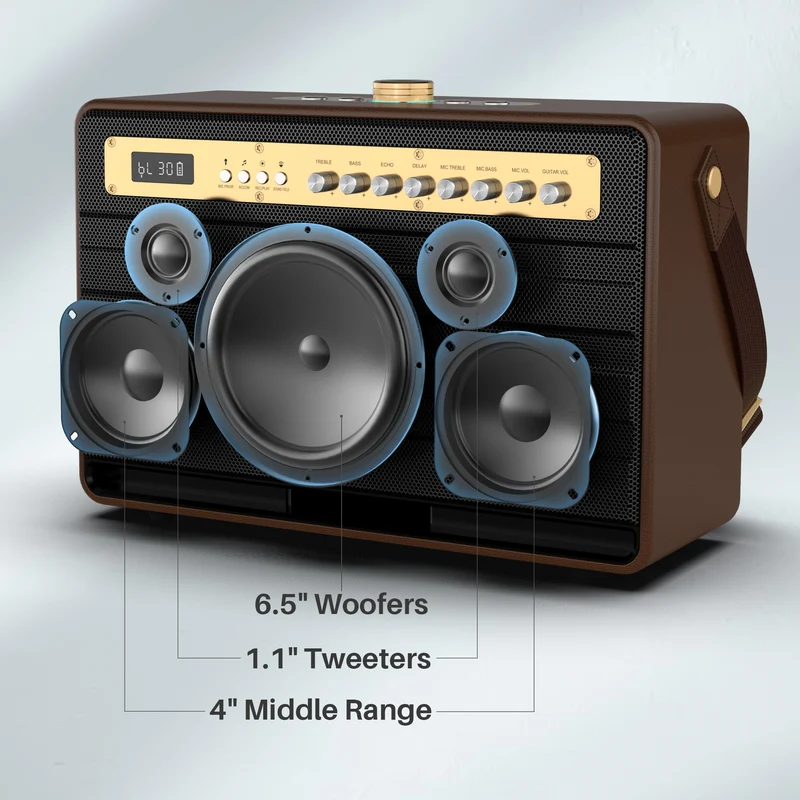 W-KING K6L Portable Karaoke Speaker with Wireless Microphone