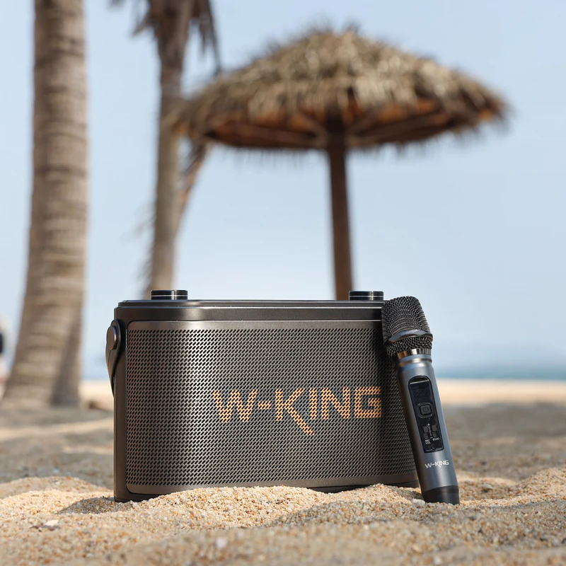 W-KING H10S 80W RMS Waterproof Outdoor Bluetooth Speaker