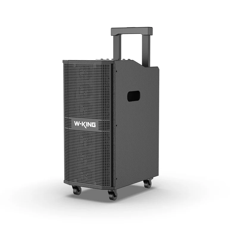 W-KING K20 Portable Karaoke Bluetooth Speaker