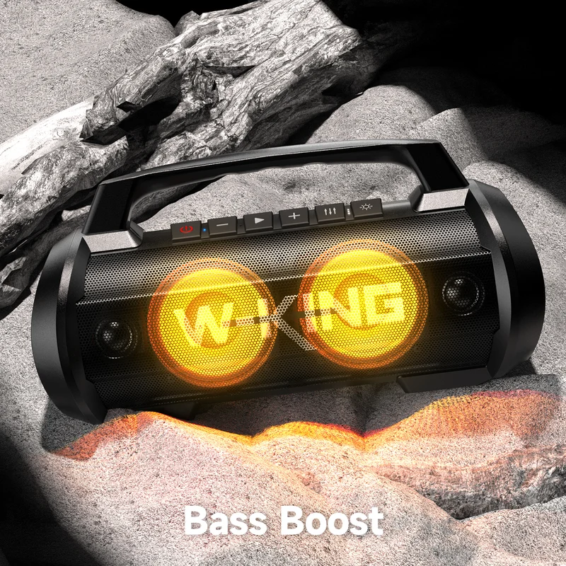W-KING D10 Karaoke Bluetooth Speaker with Wireless Microphone