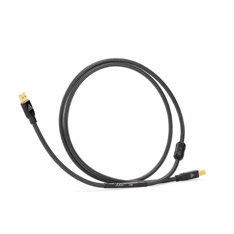 Shunyata Research Gamma USB