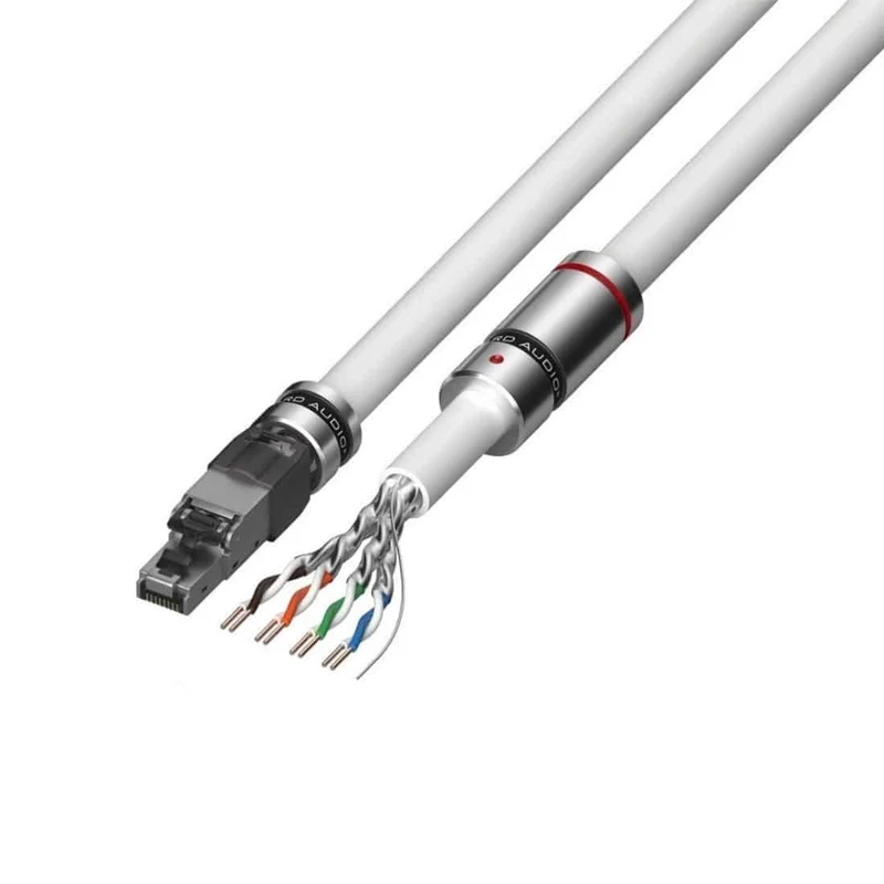 Viard Audio Silver HD 20 (Ethernet)