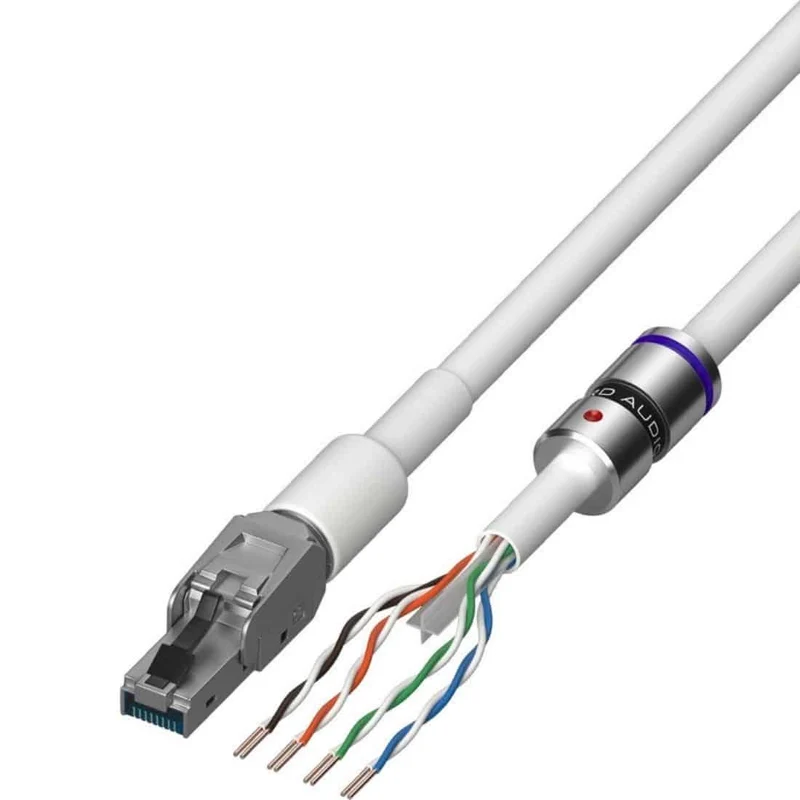 Viard Audio Silver HD 12 (Ethernet)