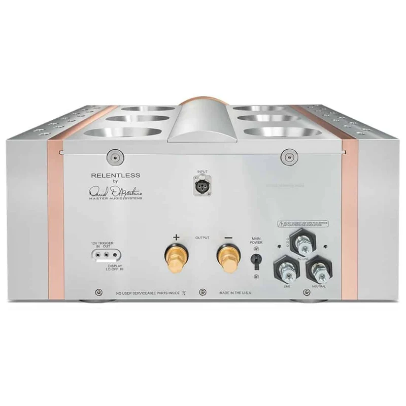 Dan D'Agostino amplificateur mono Relentless
