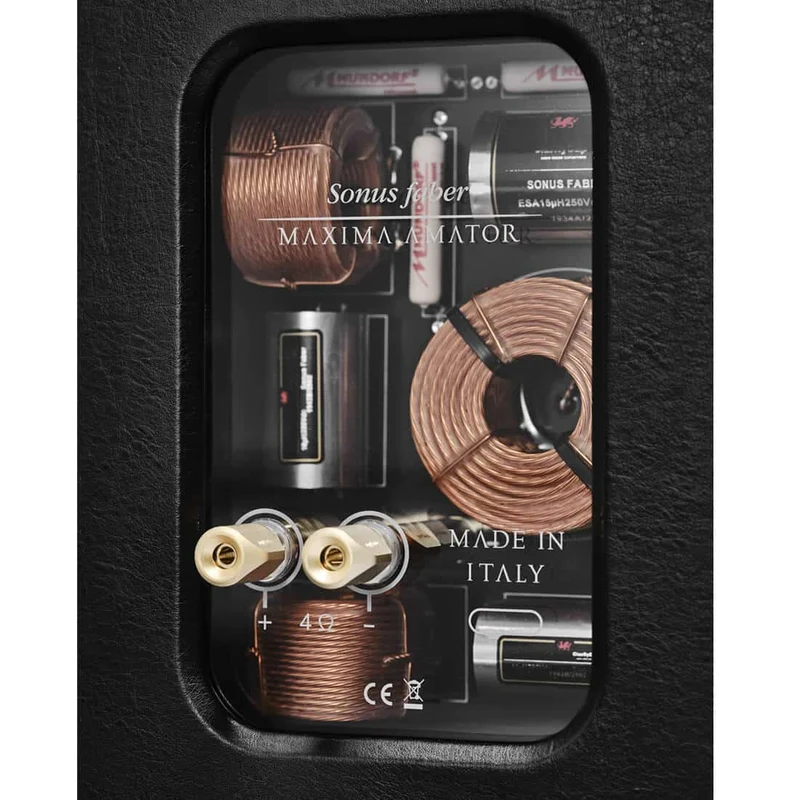 Sonus Faber Maxima Amator