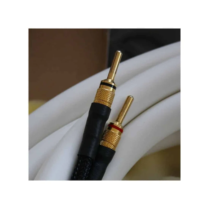 Viard Audio Silver HD 20 (HP)