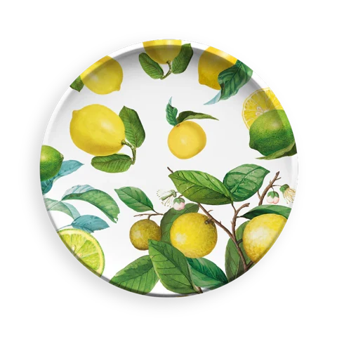 Assiette plate mélamine Ø26.7 cm - Sorrento