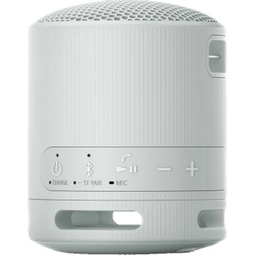 Enceinte portable sans fil Bluetooth Compacte, Sony SRSXB100 - Gris
