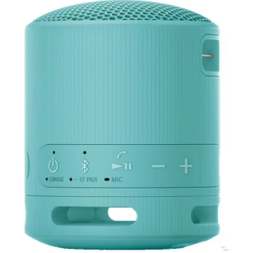 Enceinte portable sans fil Bluetooth Compacte, Sony SRSXB100 - Bleu