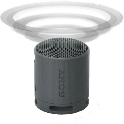Enceinte portable sans fil Bluetooth Compacte, Sony SRSXB100 - Noir
