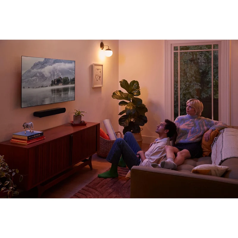 Support mural pour barre de son Ray, Sonos SS1FSWW1BLK - Noir