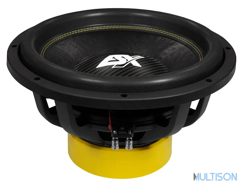 ESX QXE15D2 - Subwoofer Compact 38 cm à Double Bobine Mobile