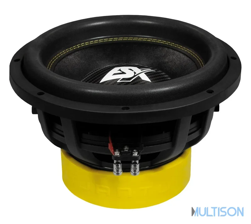 ESX QXE12D2 - Subwoofer Compact 30 cm à Double Bobine Mobile