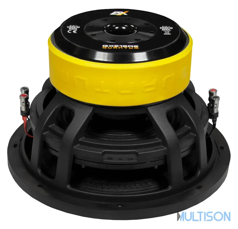 ESX QXE12D2 - Subwoofer Compact 30 cm à Double Bobine Mobile