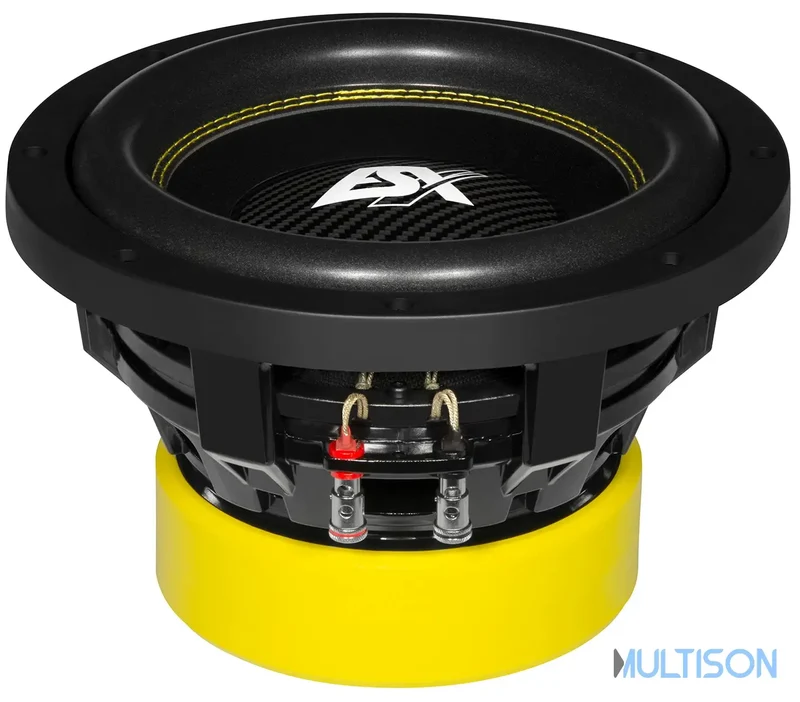 ESX QXE10D2 - Subwoofer Compact 25 cm à Double Bobine Mobile