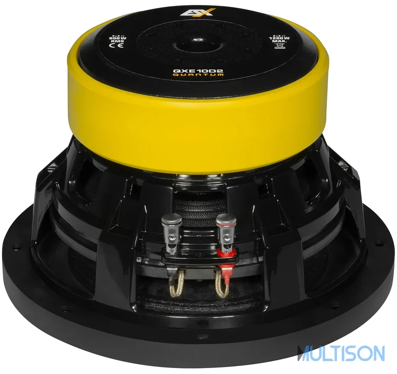 ESX QXE10D2 - Subwoofer Compact 25 cm à Double Bobine Mobile