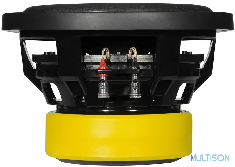 ESX QXE10D2 - Subwoofer Compact 25 cm à Double Bobine Mobile
