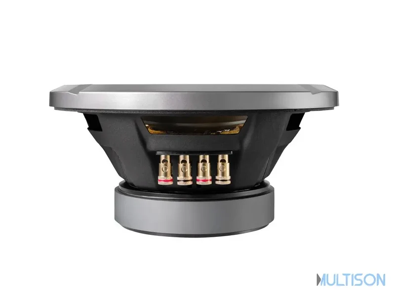 Alpine S2-W10D2 - Subwoofer 25 cm Double Bobine 1800 Watts