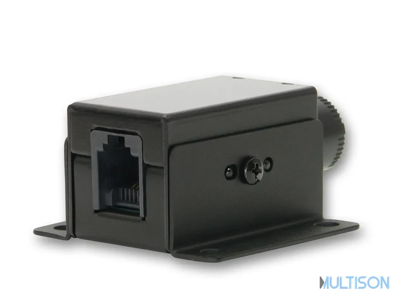 Alpine RUX-KNOB2 - Bouton de Commande des Graves pour Amplificateur