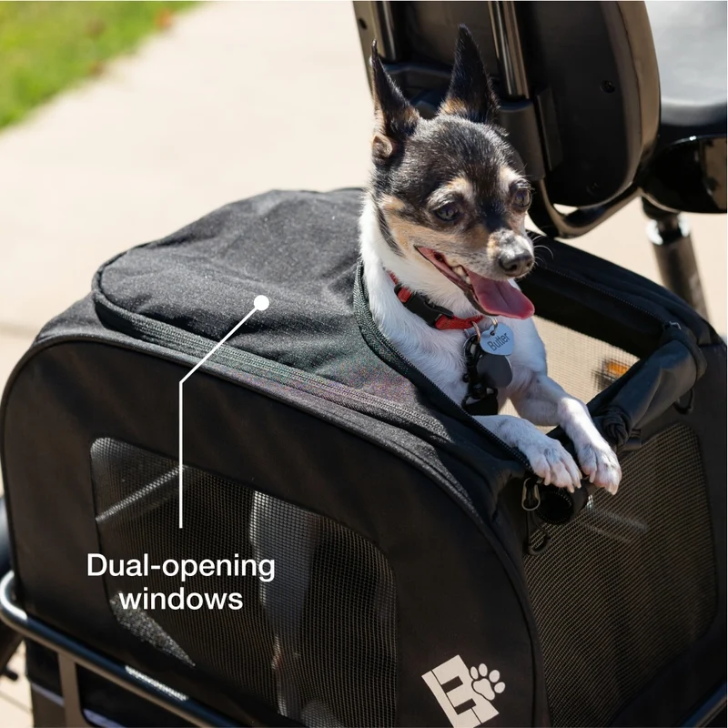 Small Pet Carrier
