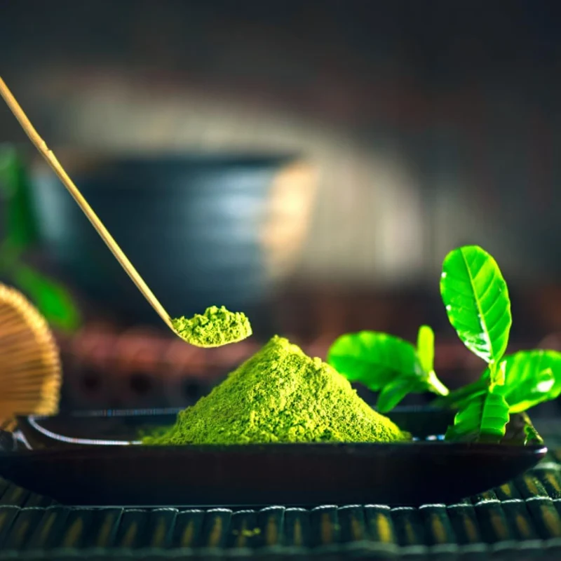 大塚製茶 大塚の抹茶 40g＊20個入