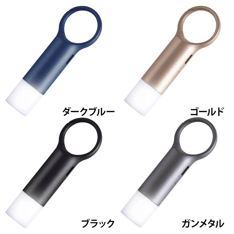 カラビナ付きマルチLEDライト FNOMADAY FLASH LL137