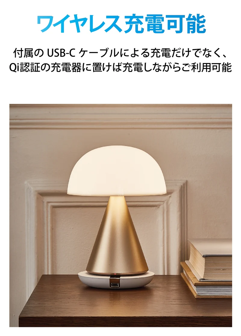 LEXON（レクソン） 防水仕様大型LEDランプ MINA L LH65