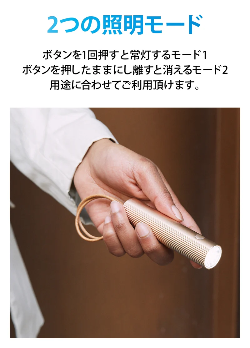 高輝度LEDライト FINE BAG LIGHT 2 LL129