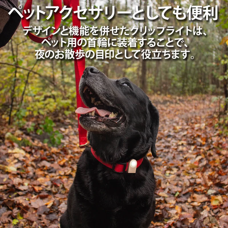 LEXON (レクソン) LUCIE ウェアラブルLEDクリップ 最大12時間使用 点灯または点滅 耐雨性IPX4 約1.5メートルまで視認可能