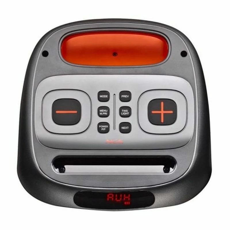 Enceintes Bluetooth portables NGS ELEC-SPK-0836 Noir